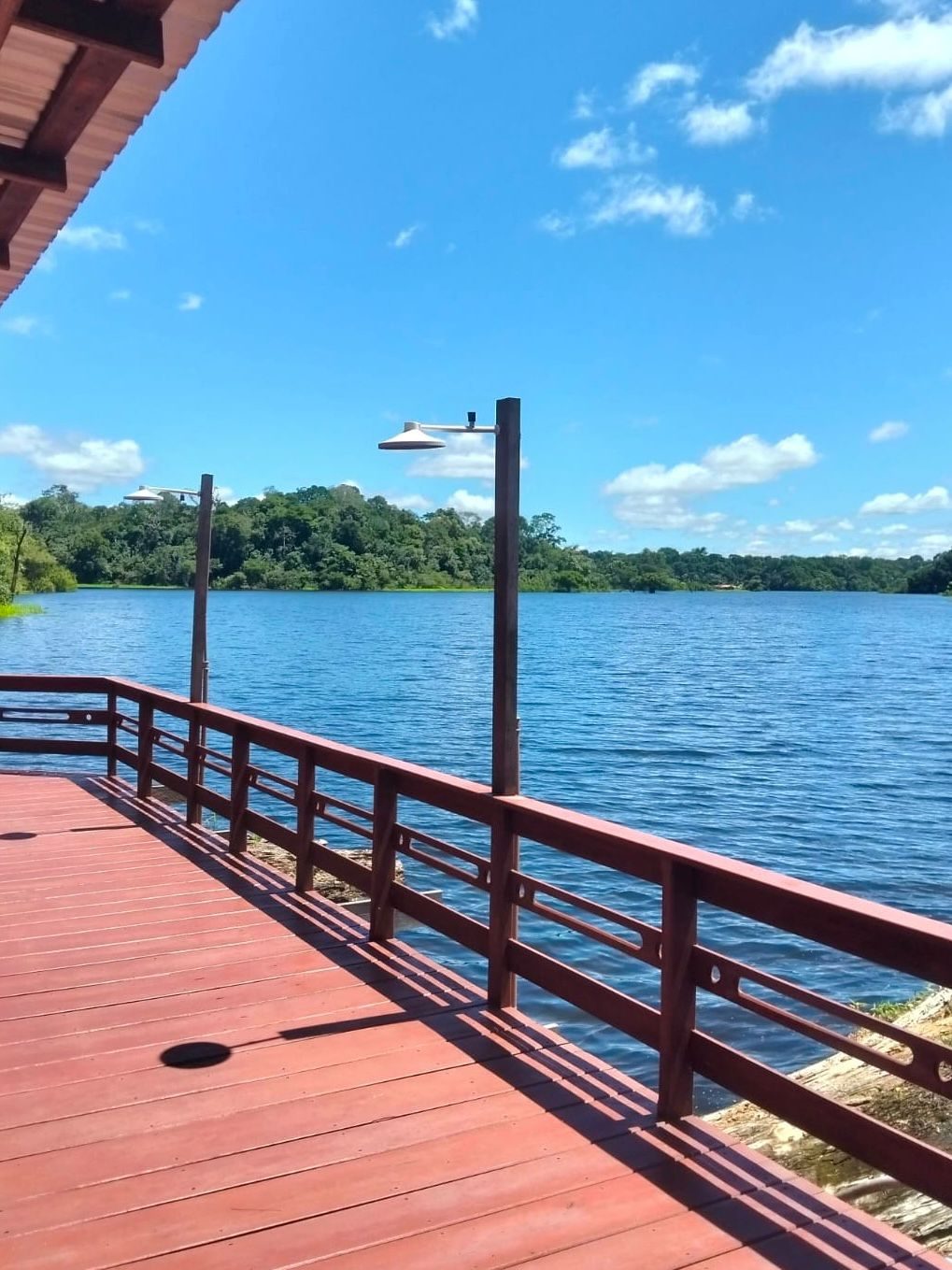 Amazon Samaúma Lodge — foto 10