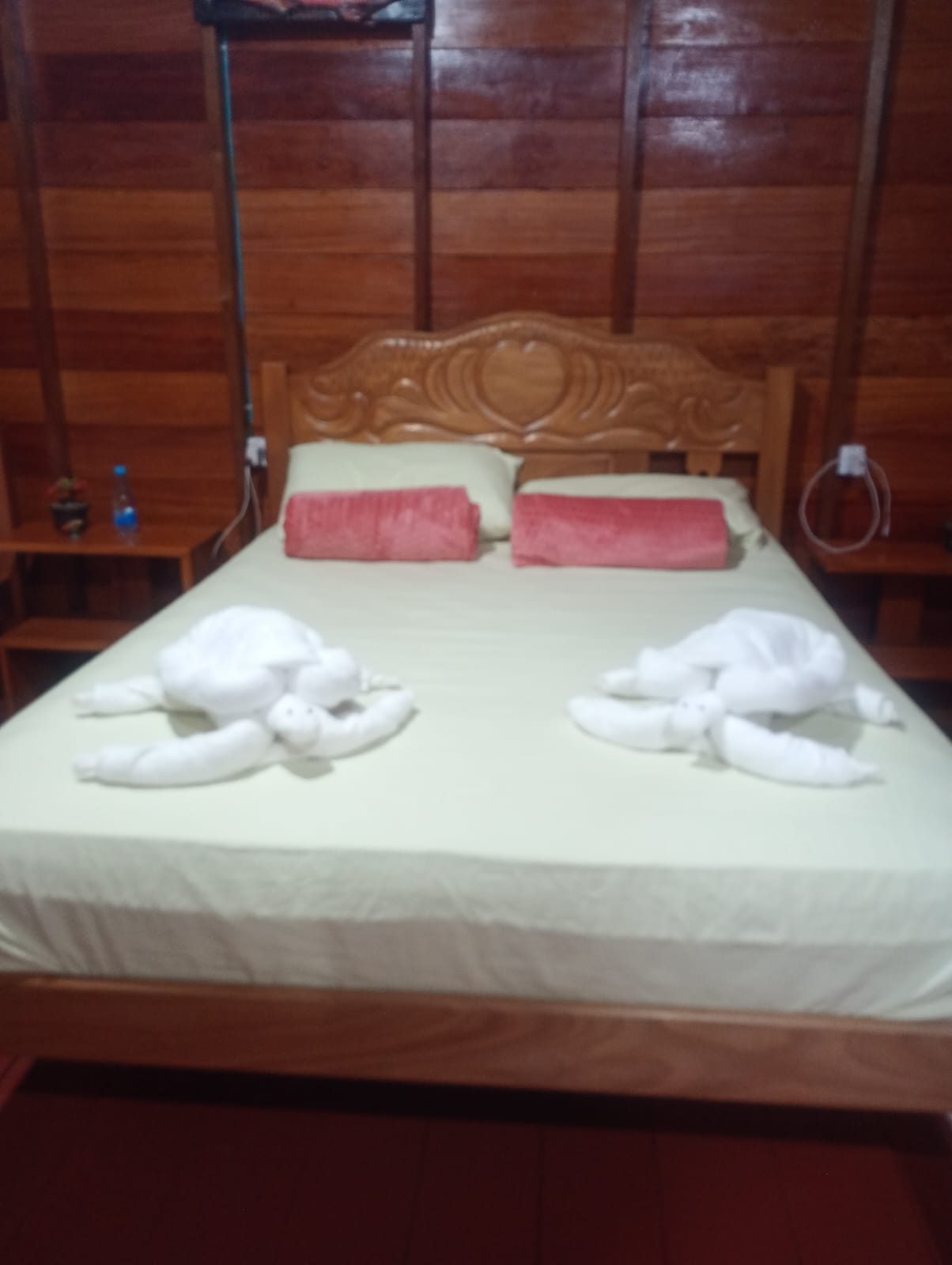 Amazon Samaúma Lodge — foto 4