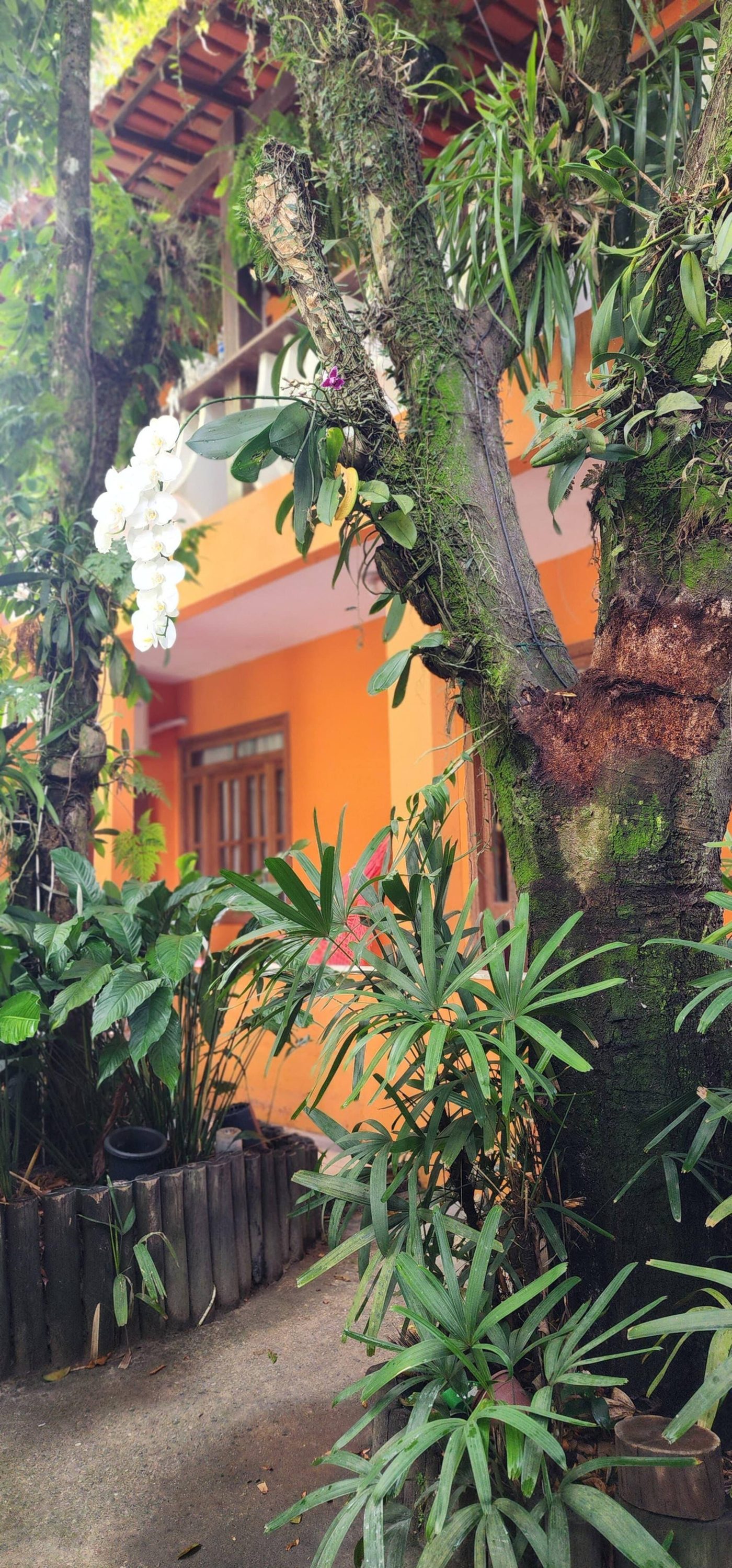 Casa da Lau Trancoso — foto 2