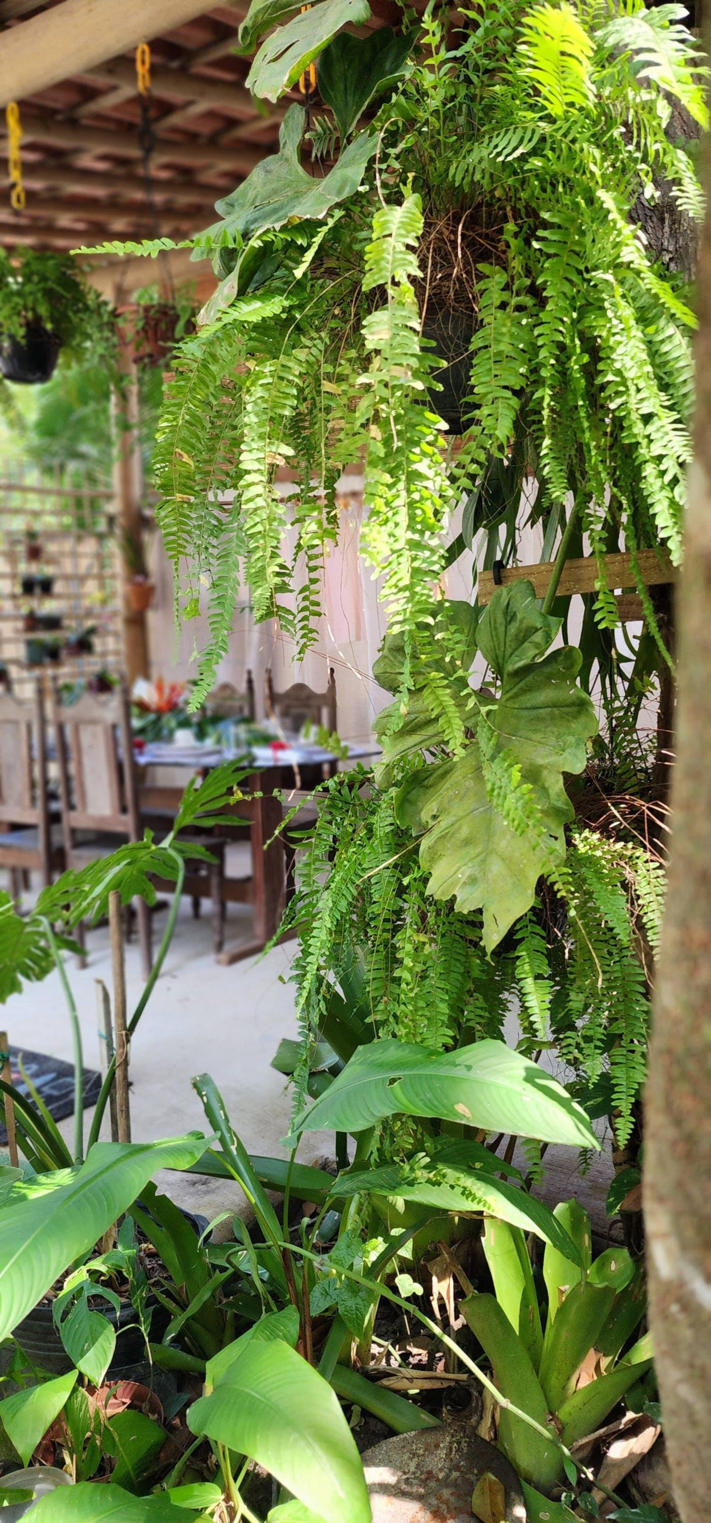 Casa da Lau Trancoso — foto 6